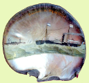 Objet souvenir de Trouville